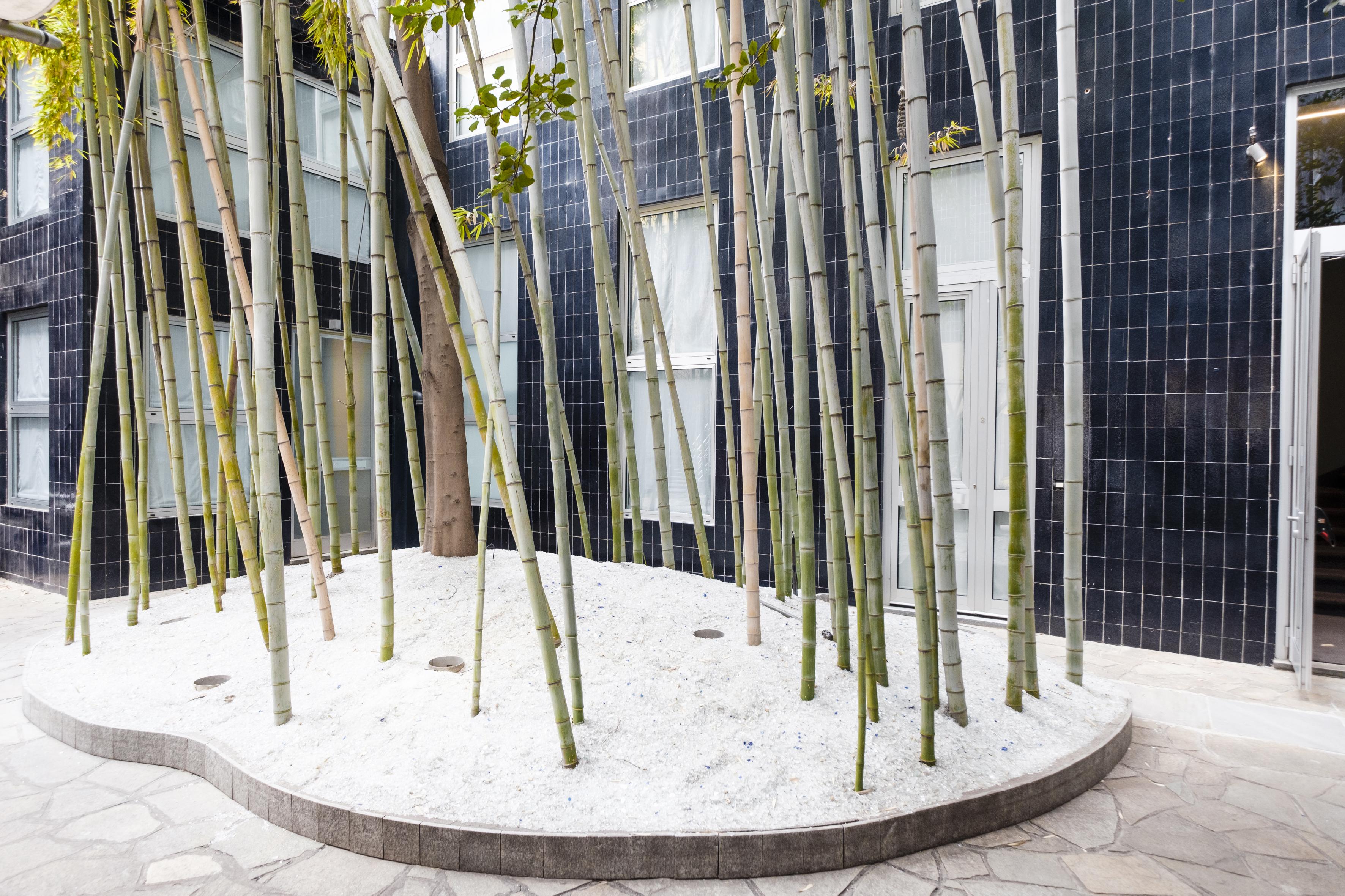 Residence Sacchi Aparthotel Turin Ngoại thất bức ảnh